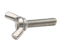 SS Eye Screws
